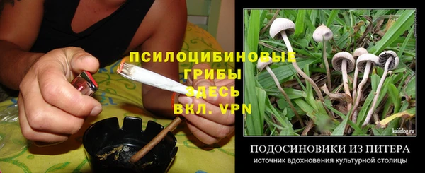 ПСИЛОЦИБИНОВЫЕ ГРИБЫ Нея