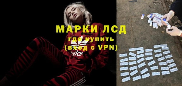 ПСИЛОЦИБИНОВЫЕ ГРИБЫ Нея
